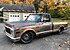1972 Chevrolet C/K Truck 2WD Regular Cab 1500 for sale 101045154
